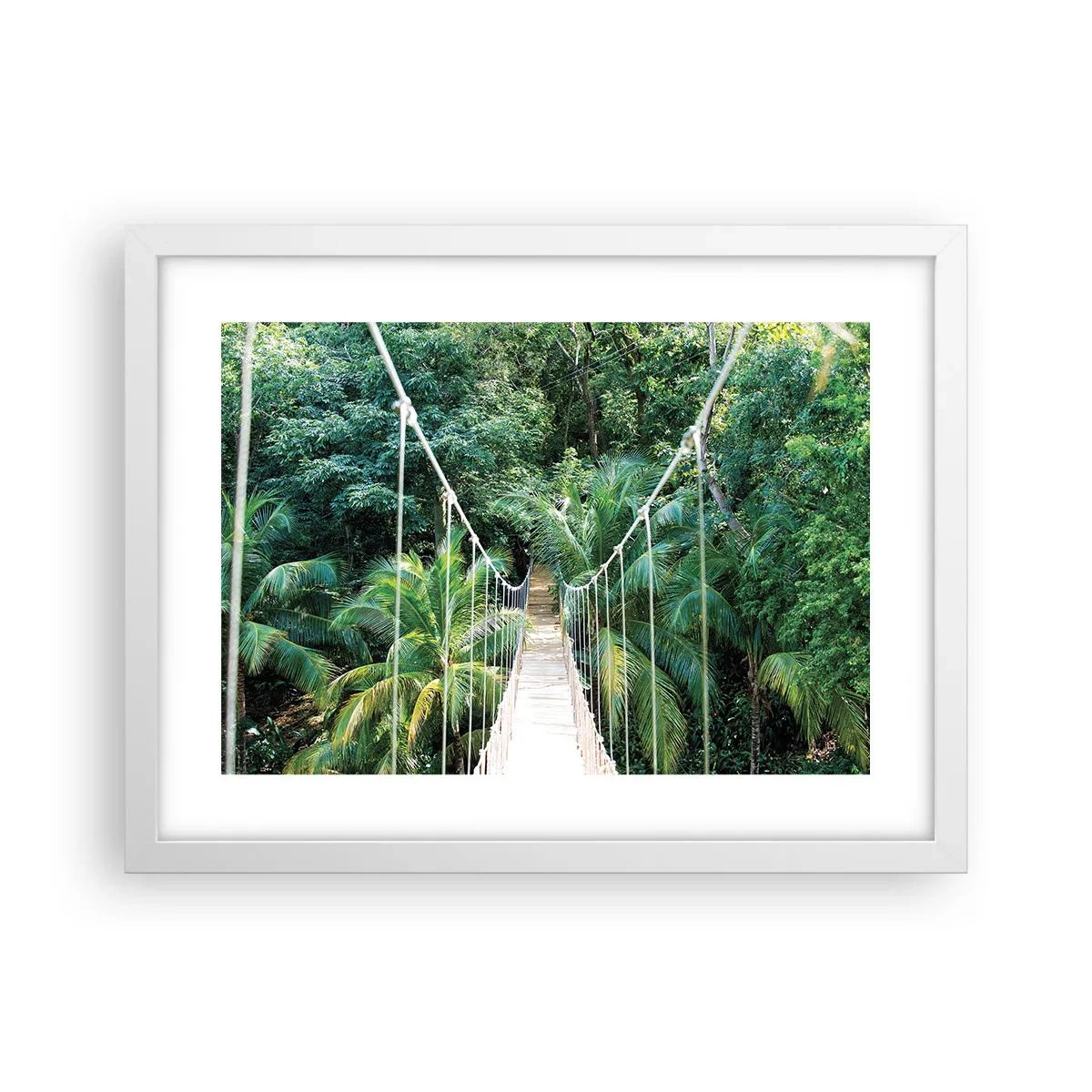 Affiche dans un cadre blanc - Poster - Welcome to the jungle! - 40x30 cm