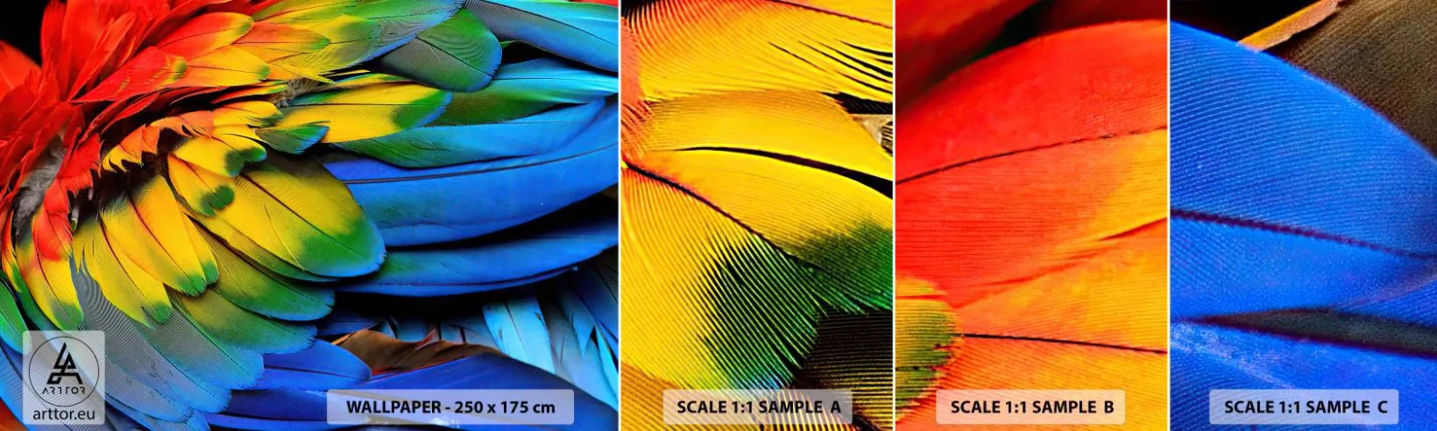 Échantillon de Papier Peint Autocollant Deluxe Sticker - Oiseau de paradis - Plumes colorées, Plumes de perroquet, Animaux - 100x30 cm