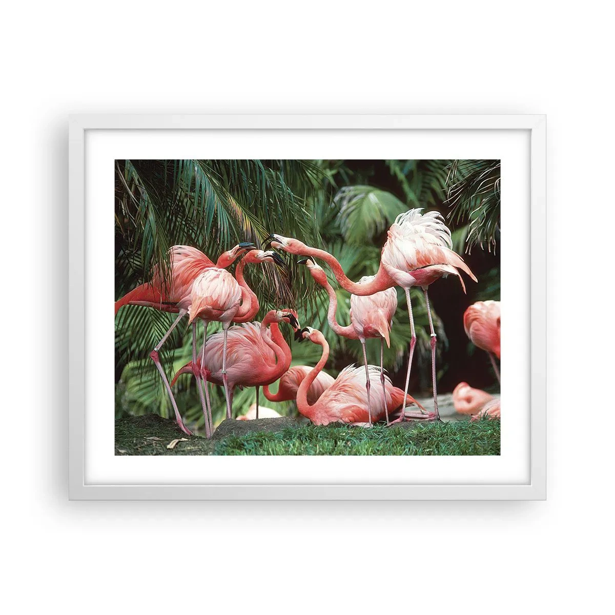 Affiche dans un cadre blanc - Poster - Potins d'après-midi - 50x40 cm