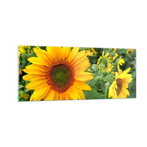 Impression sur verre - Image sur verre - Des centaines de soleils se sont embrasés - 100x40 cm