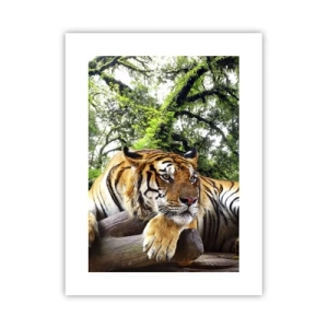 Affiche - Poster - Cordialement - 30x40 cm