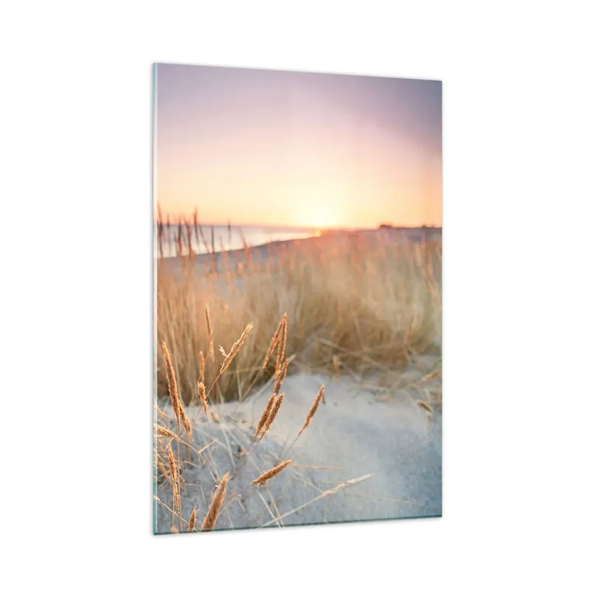 Impression sur verre - Image sur verre - Plage au coucher du soleil avec de hautes herbes - 80x120cm - Berceuse baltique - Décoration murale moderne pour le salon et la chambre ARTTOR