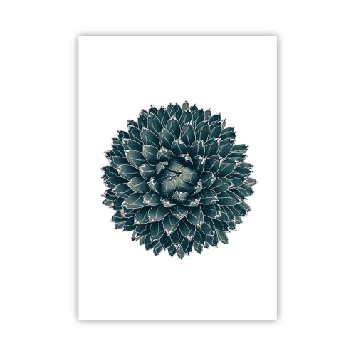 Affiche - Poster - Étoile du désert - 70x100 cm