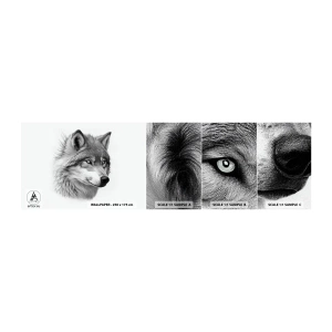Échantillon de Papier Peint Autocollant Deluxe Sticker - Alpha – sans aucun doute - Loup, Animal, scandinave - 100x30 cm