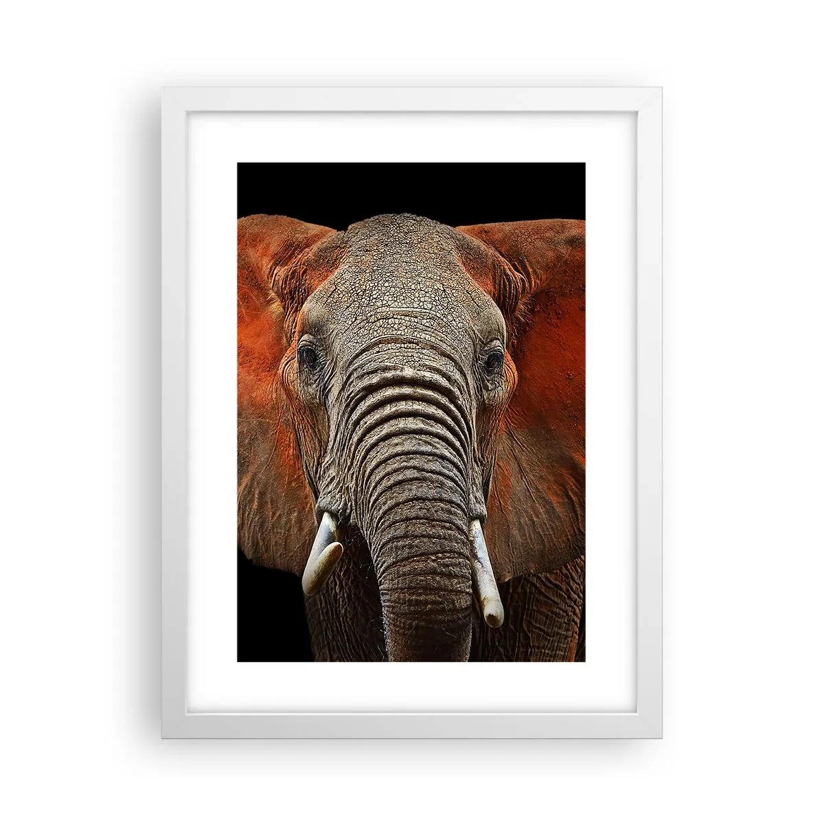 Affiche dans un cadre blanc - Poster - Je suis sauvage, et toi? - 30x40 cm