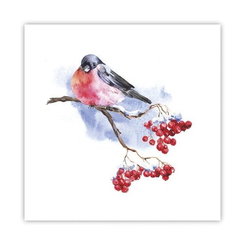 Affiche - Poster - L'hiver en couleurs - 50x50 cm
