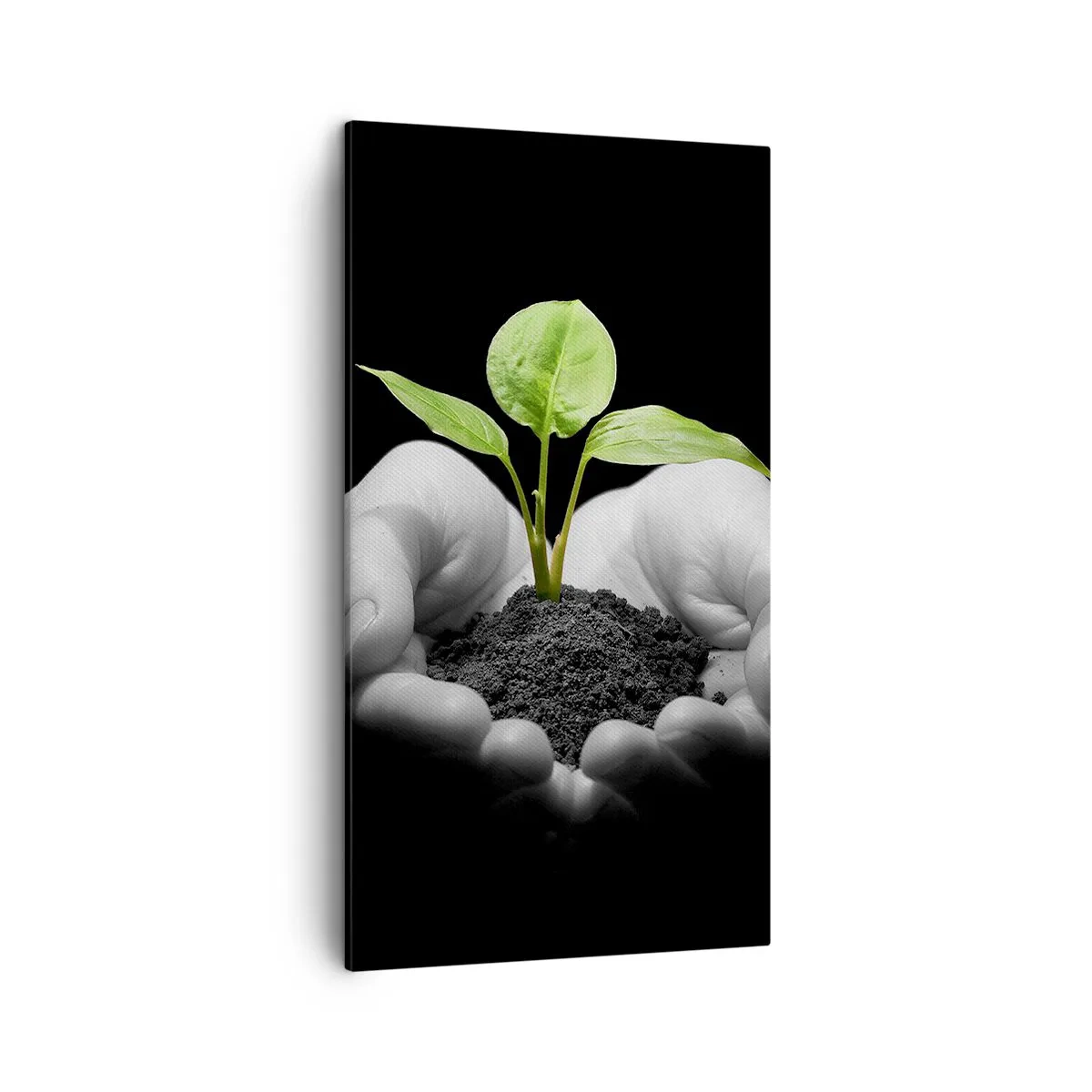 Impression sur toile - Image sur toile - J'aime la nature, je la protège - 45x80 cm