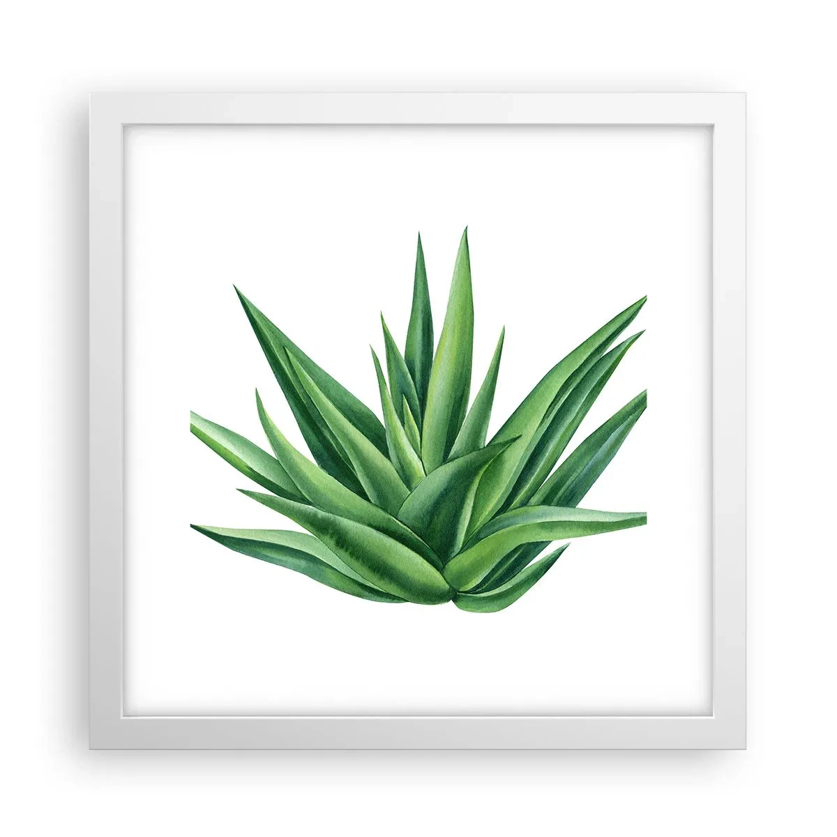 Affiche dans un cadre blanc - Poster - Vert – force – vie - 30x30 cm