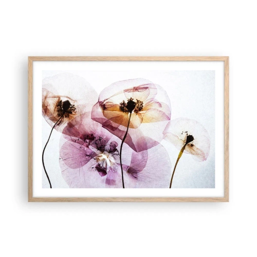 Affiche dans un chêne clair - Poster - Corps de fleurs transparente - 70x50 cm