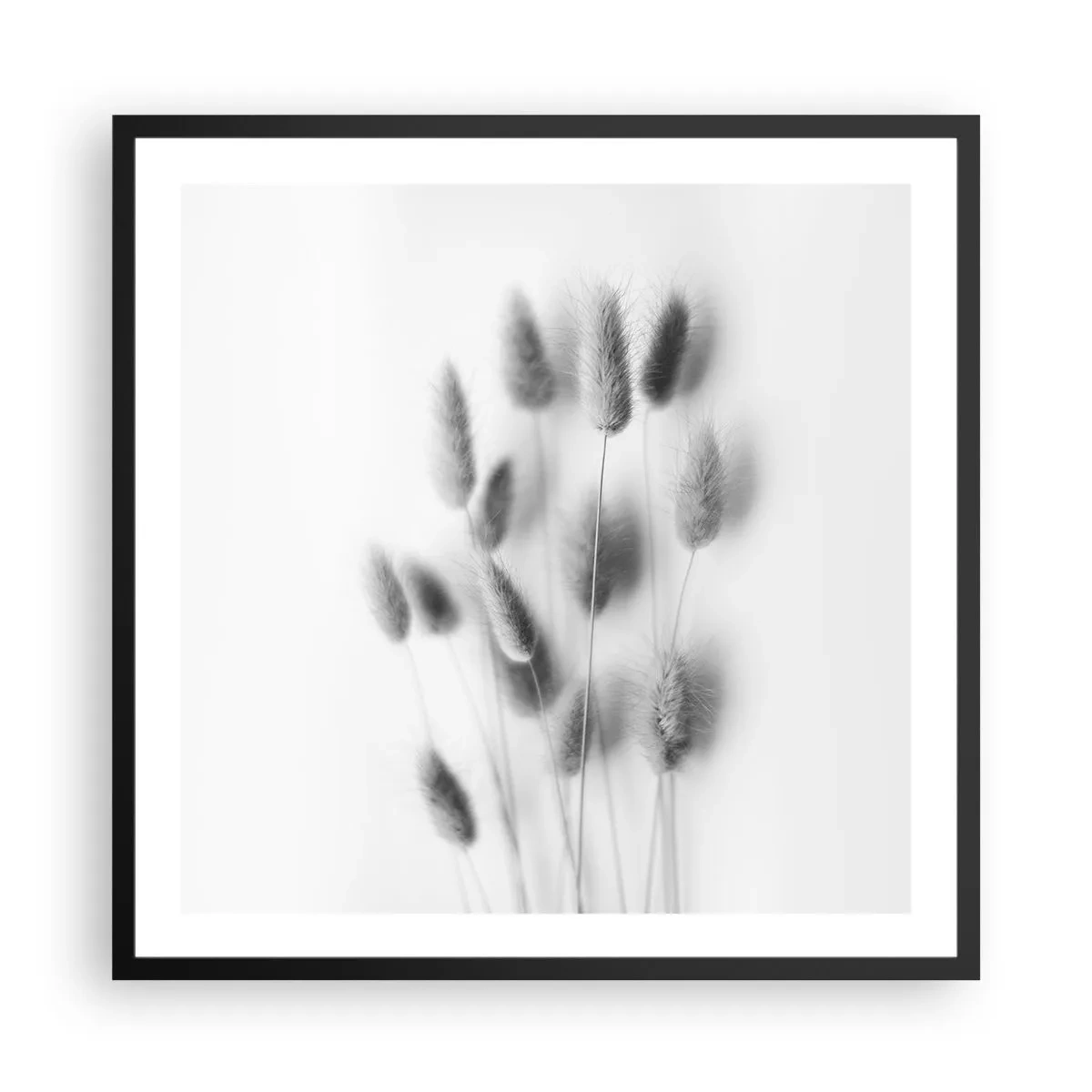 Affiche dans un cadre noir - Poster - Son herbe duveteuse - 60x60 cm