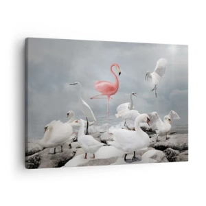 Impression sur toile - Image sur toile - Un flamant rose parmi des cygnes blancs sur fond de lac - 70x50cm - Comment suis-je arrivé là? - Décoration murale moderne pour le salon et la chambre ARTTOR