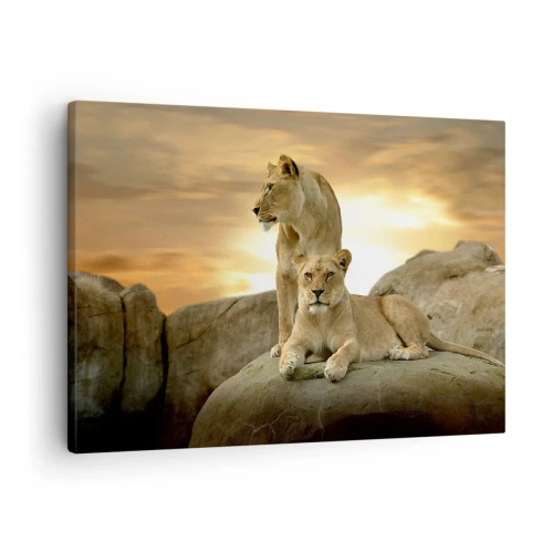 Impression sur toile - Image sur toile - Deux lionnes se reposant sur un rocher au coucher du soleil - 70x50cm - Majesté royale - Décoration murale moderne pour le salon et la chambre ARTTOR