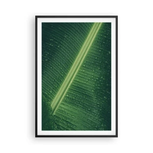 Affiche dans un cadre noir - Poster - Structure de vert - 61x91 cm