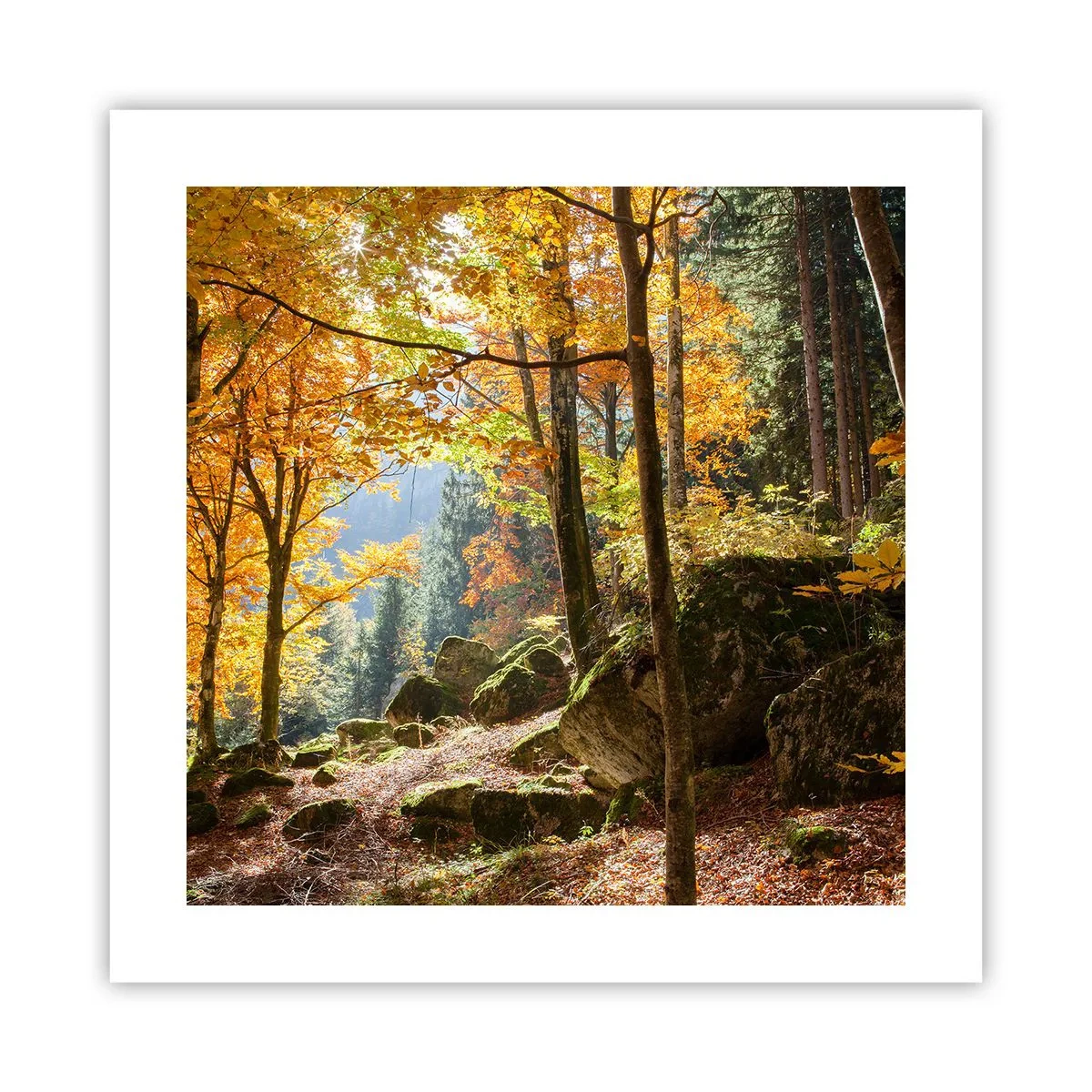 Affiche - Poster - Il est temps de se détendre - 40x40 cm