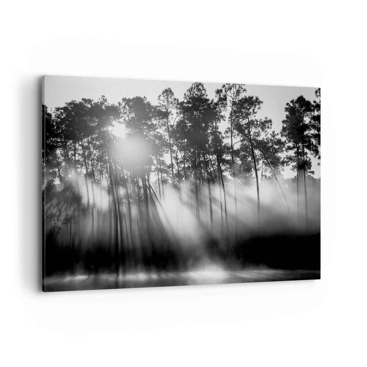 Impression sur toile - Image sur toile - Forêt noire et blanche dans le brouillard du matin - 120x80cm - Soleil inarrêtable - Décoration murale moderne pour le salon et la chambre ARTTOR