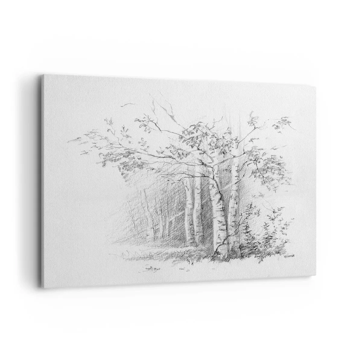 Impression sur toile - Image sur toile - Un dessin d'une forêt de bouleaux dans un croquis au crayon subtil - 100x70cm - Lumière d'une forêt de bouleaux - Décoration murale moderne pour le salon et la chambre ARTTOR