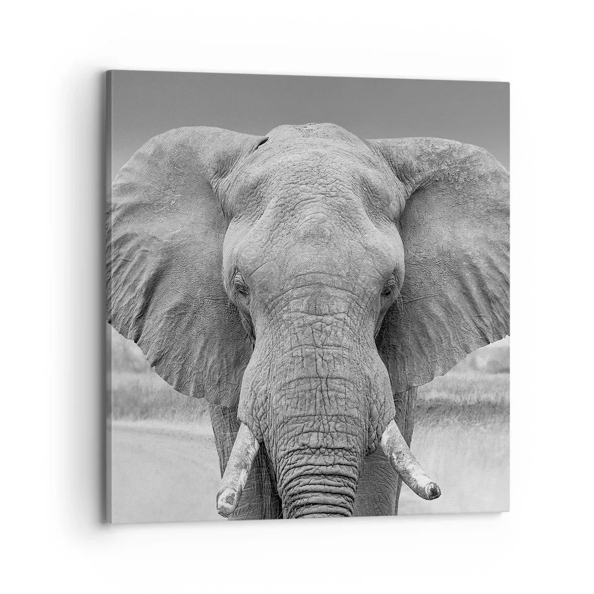 Impression sur toile - Image sur toile - Bienvenue dans mon monde - 70x70 cm