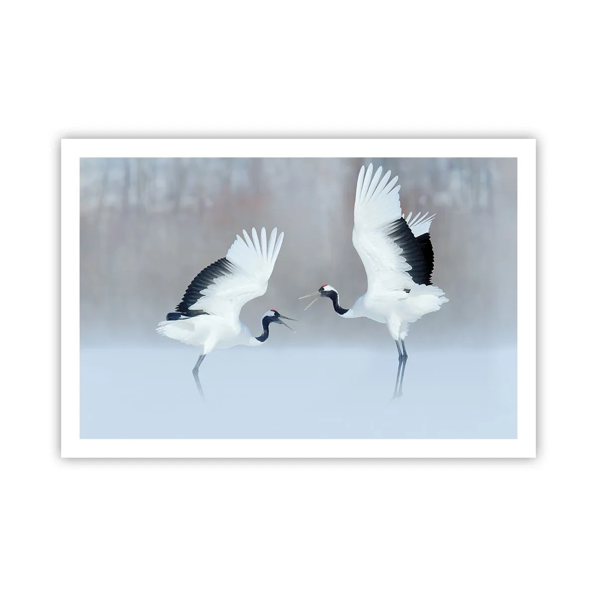 Affiche - Poster - Danse dans le brouillard - 91x61 cm