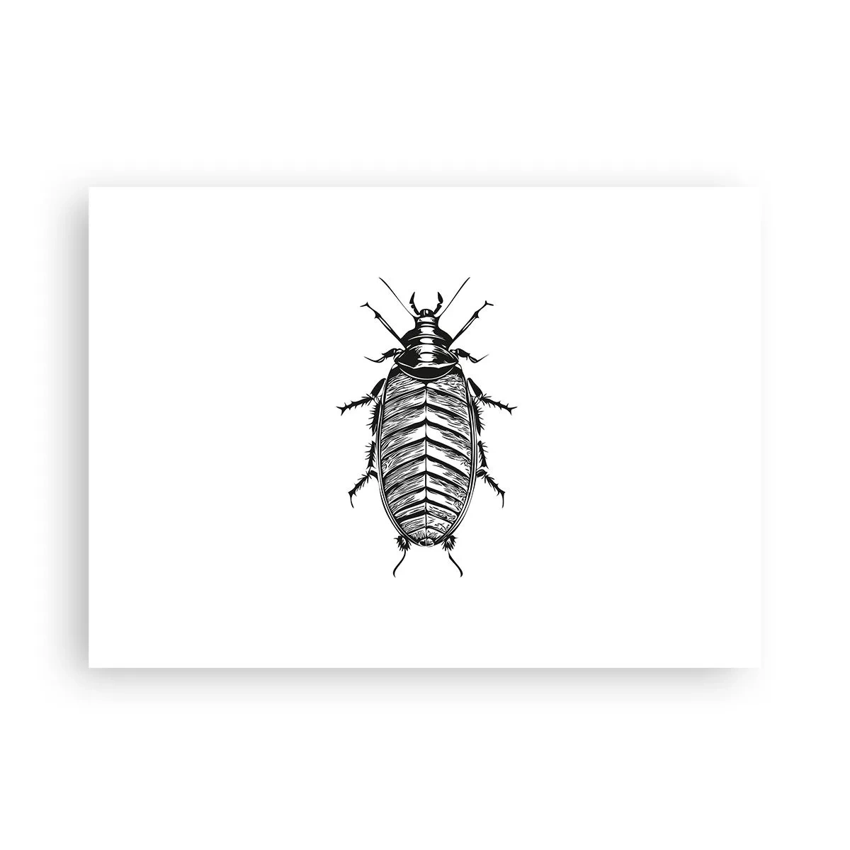 Affiche - Poster - Quel spécimen! - 70x50 cm