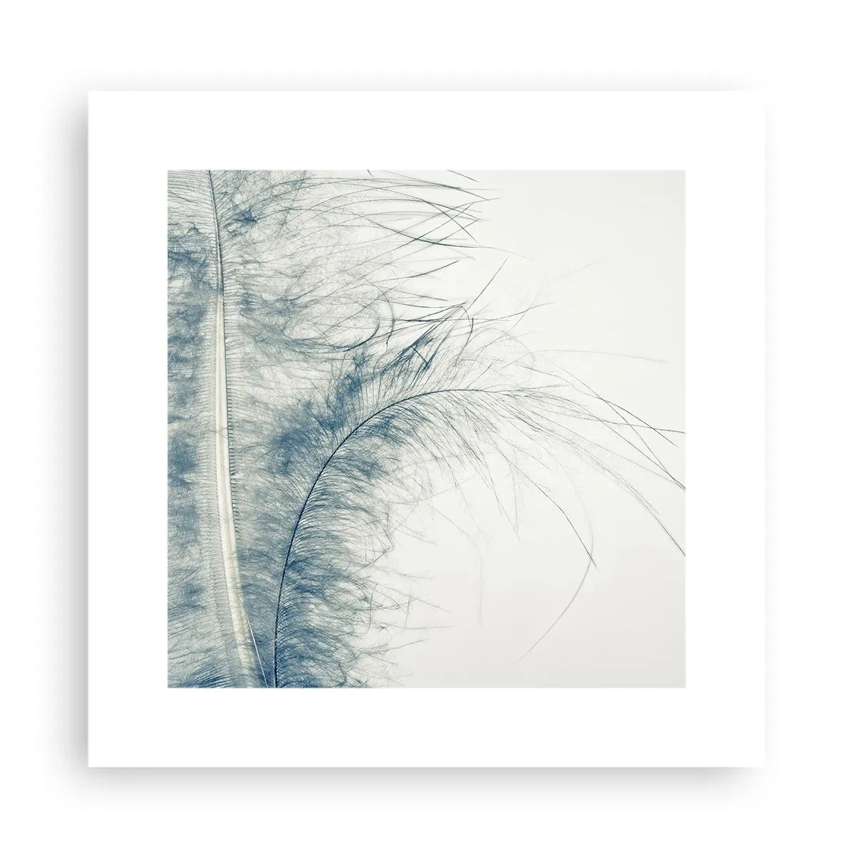 Affiche - Poster - Les sept natures - 30x30 cm