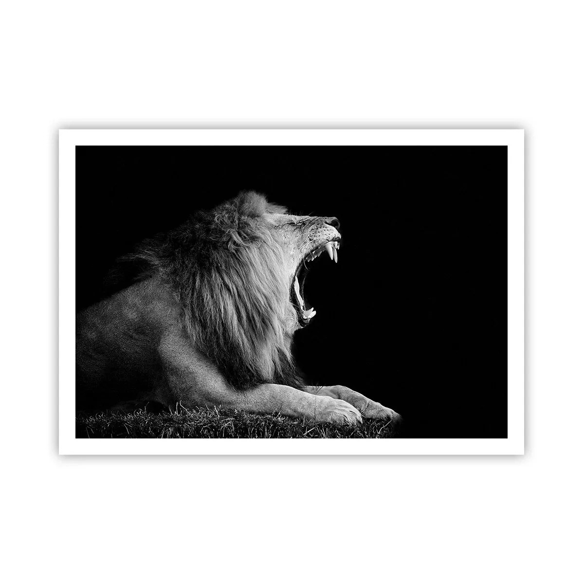 Affiche - Poster - Un lion rugissant sur fond noir dans des tons noir et blanc - 100x70cm - Sans aucun doute - Décoration murale moderne pour le salon et la chambre ARTTOR