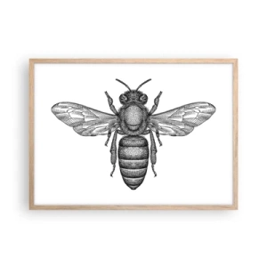 Affiche dans un chêne clair - Poster - Portrait d'insecte - 70x50 cm