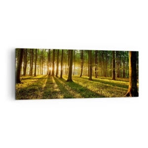 Impression sur toile - Image sur toile - Le soleil couchant dans la forêt de feuillus - 140x50cm - Toutes les photographies de printemps - Décoration murale moderne pour le salon et la chambre ARTTOR