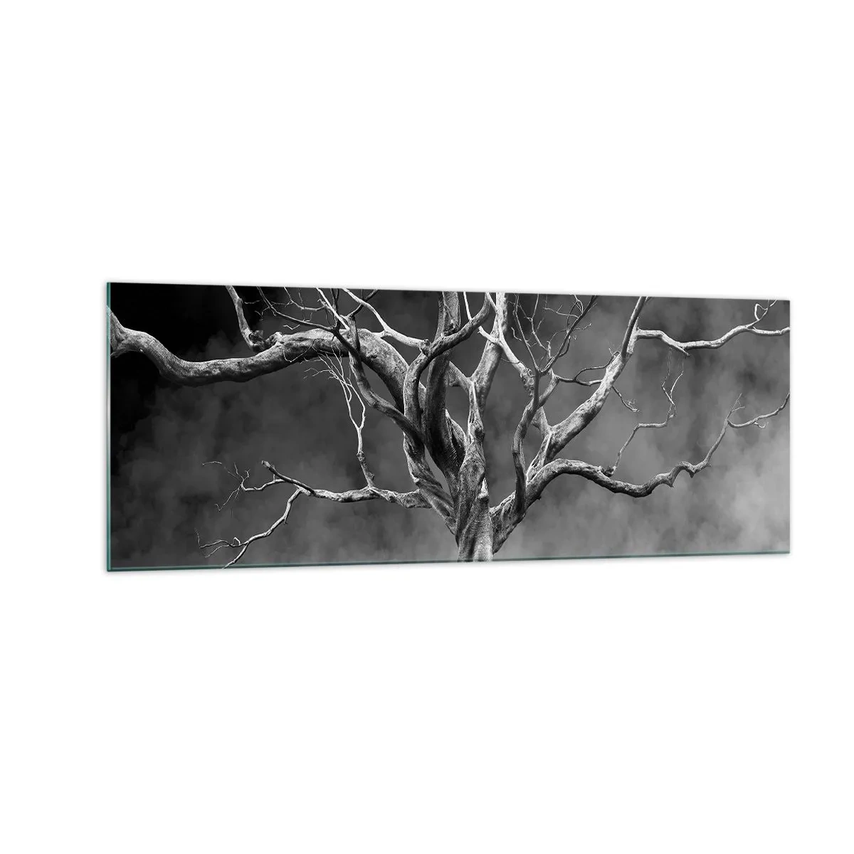 Impression sur verre - Image sur verre - Un arbre sec en noir et blanc contre le brouillard - 140x50cm - Primordial et sacré - Décoration murale moderne pour le salon et la chambre ARTTOR