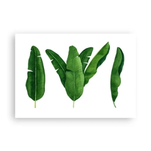 Affiche - Poster - Trois feuilles de bananier dans une approche artistique - 100x70cm - Symétrie verte - Décoration murale moderne pour le salon et la chambre ARTTOR