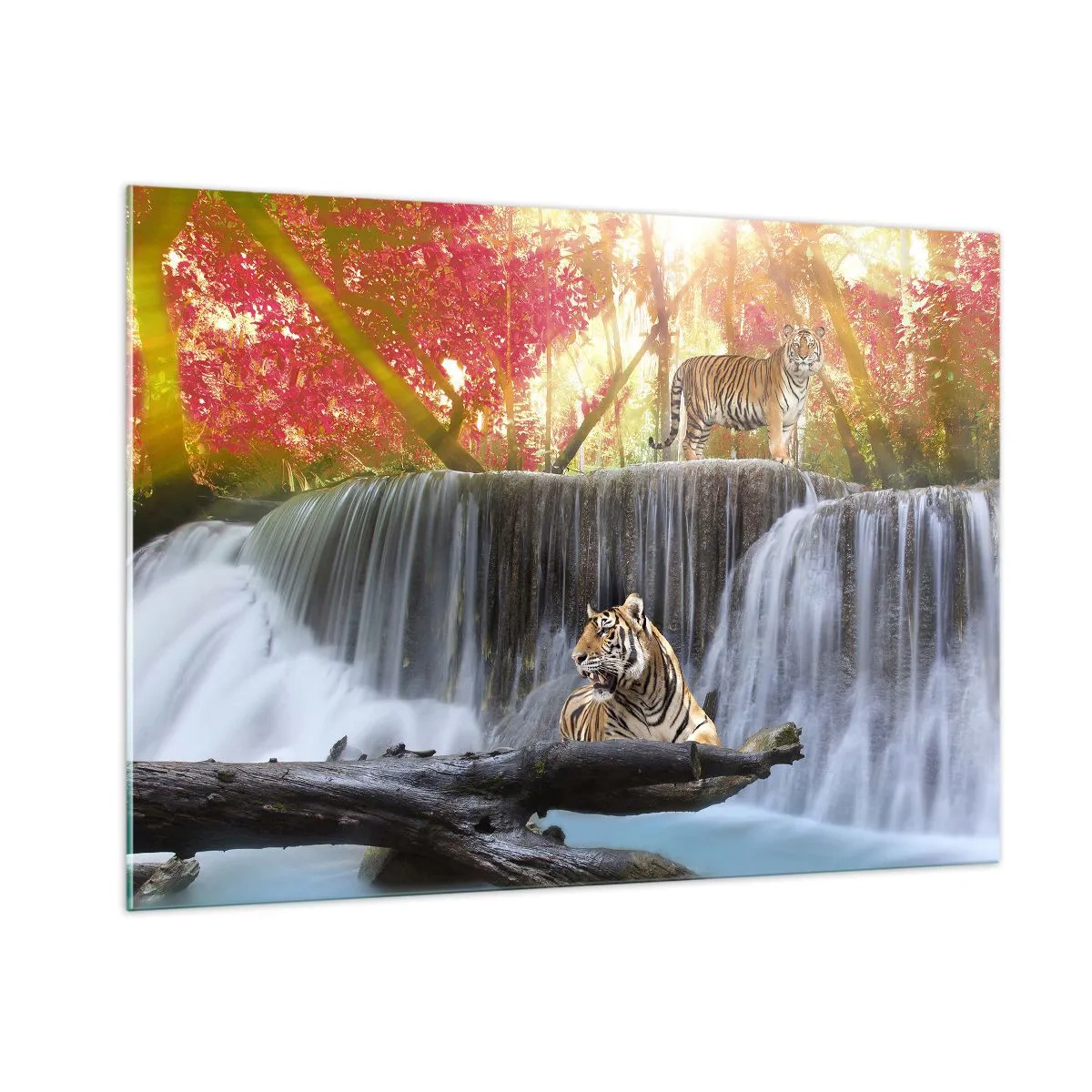 Impression sur verre - Image sur verre - Tigres contre une cascade et un paysage d'automne - 100x70cm - Paysage surréaliste - Décoration murale moderne pour le salon et la chambre ARTTOR