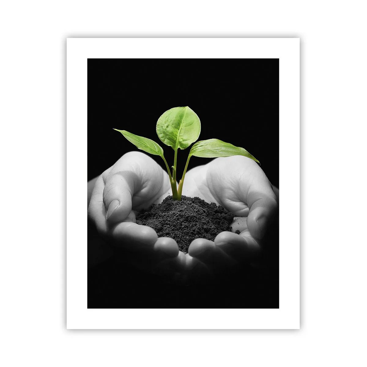 Affiche - Poster - J'aime la nature, je la protège - 40x50 cm