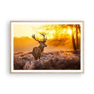 Affiche dans un chêne clair - Poster - Roi de la forêt automnal - 100x70 cm