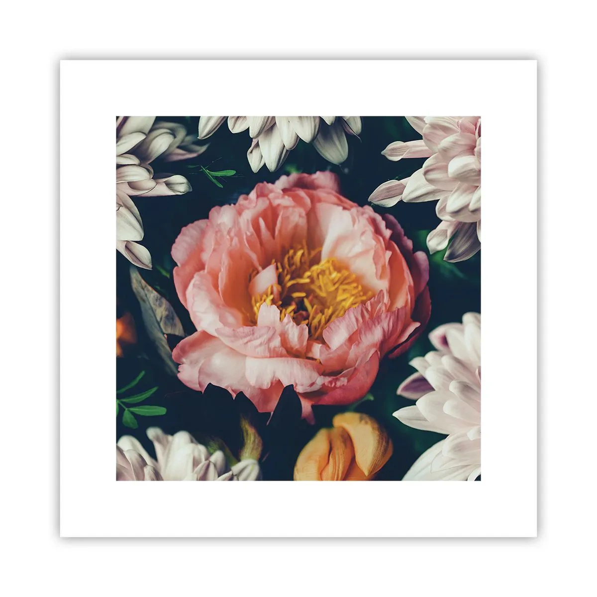 Affiche - Poster - Splendeur baroque - 30x30 cm