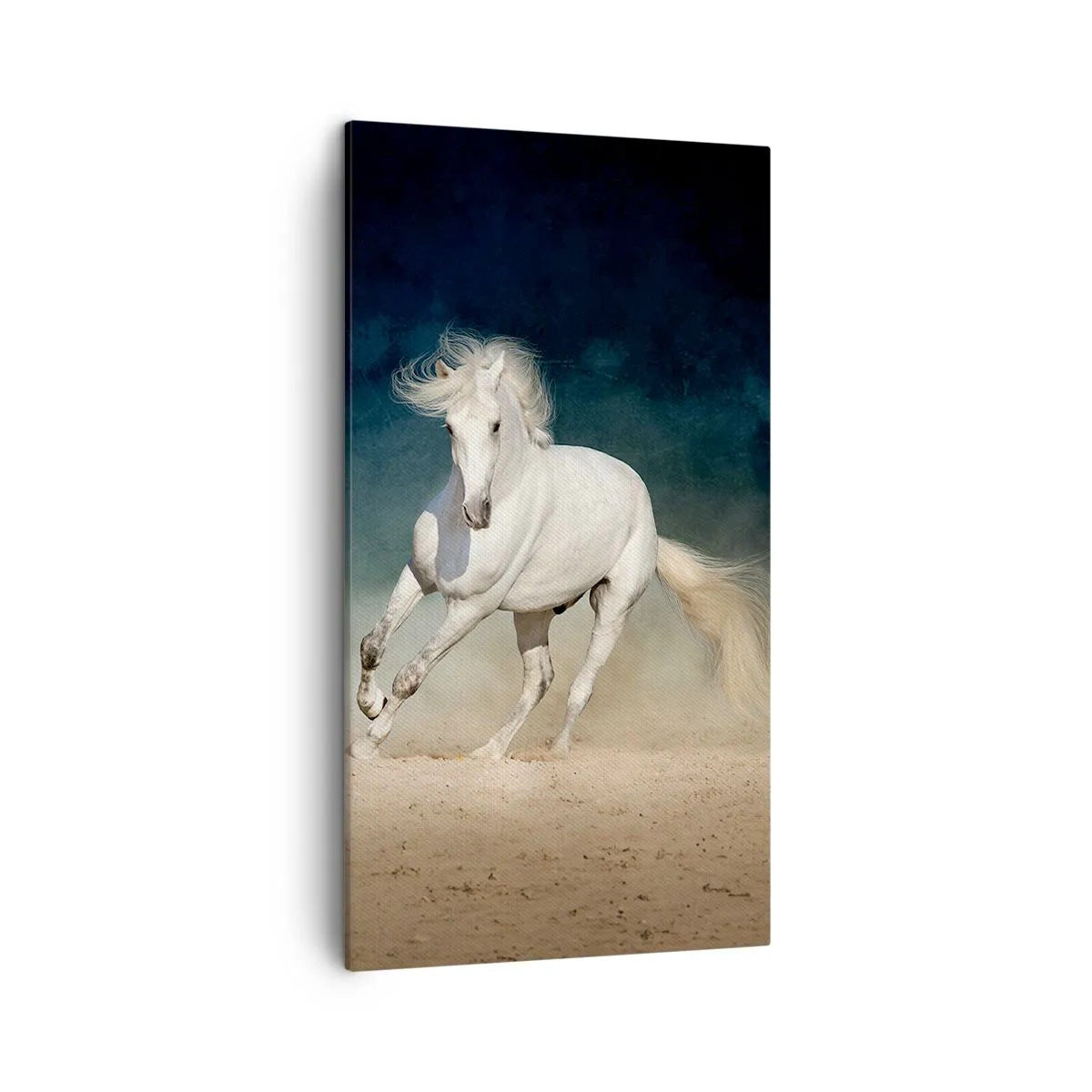 Impression sur toile - Image sur toile - La liberté à l'état pur - 45x80 cm