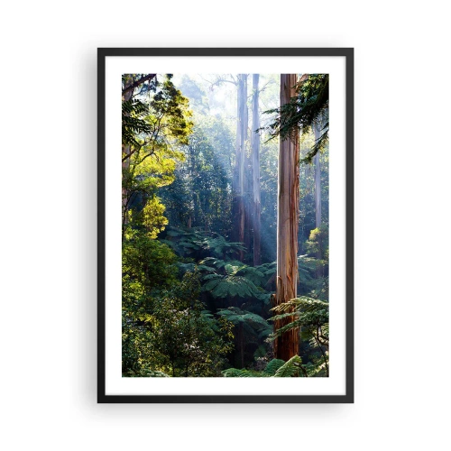 Affiche dans un cadre noir - Poster - Forêt tropicale illuminée par la lumière du soleil - 50x70cm - Fable de la forêt - Décoration murale moderne pour le salon et la chambre ARTTOR