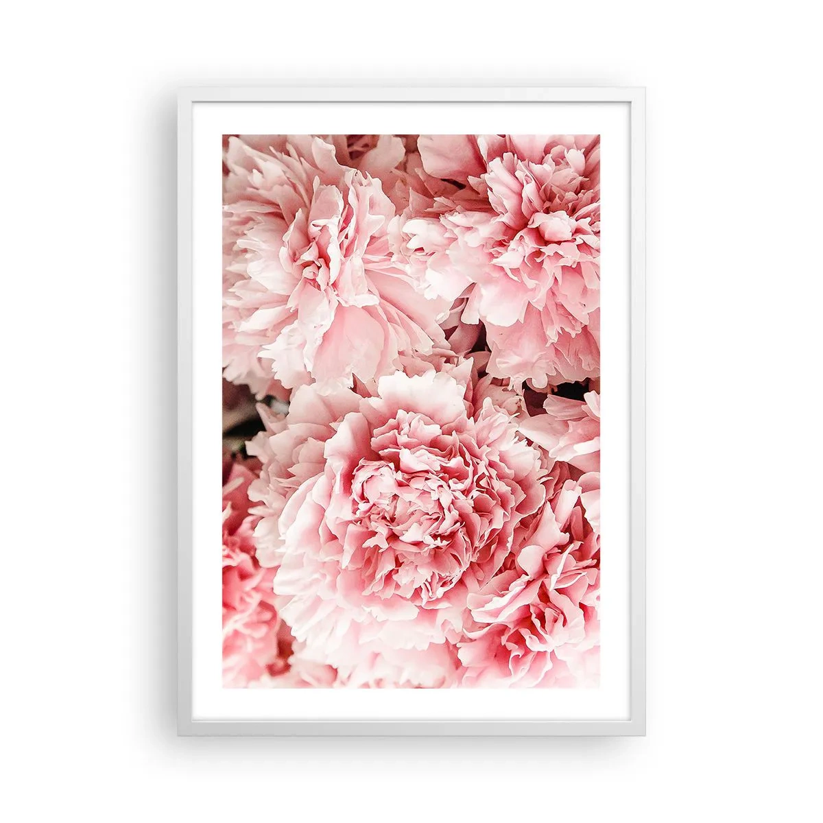 Affiche dans un cadre blanc - Poster - Rêve rose - 50x70 cm