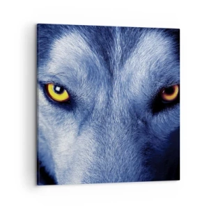 Impression sur toile - Image sur toile - Regars hypnotique - 50x50 cm