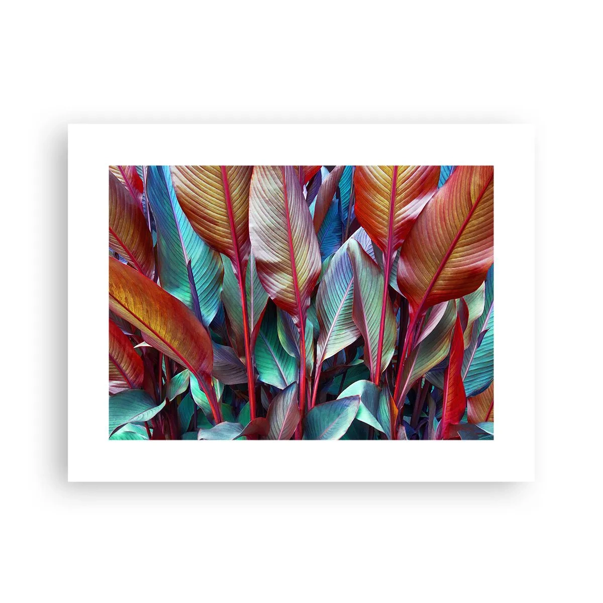 Affiche - Poster - Un fourré coloré - 40x30 cm