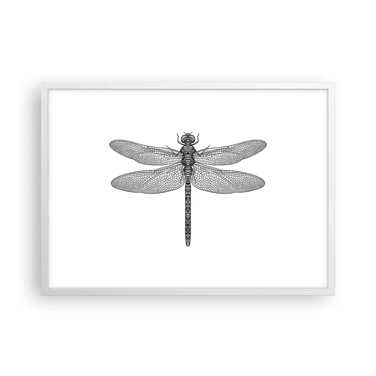 Affiche dans un cadre blanc - Poster - Précision de la nature - 70x50 cm