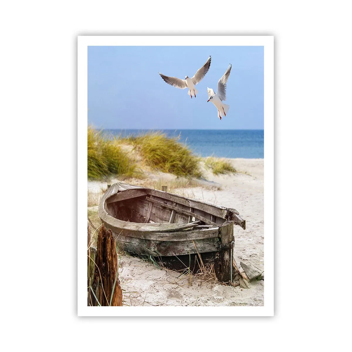 Affiche - Poster - Bain de vent - 70x100 cm