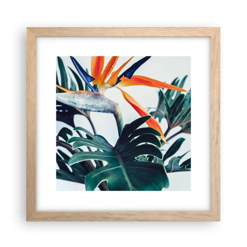 Affiche dans un chêne clair - Poster - Le buisson oiseaux - 30x30 cm