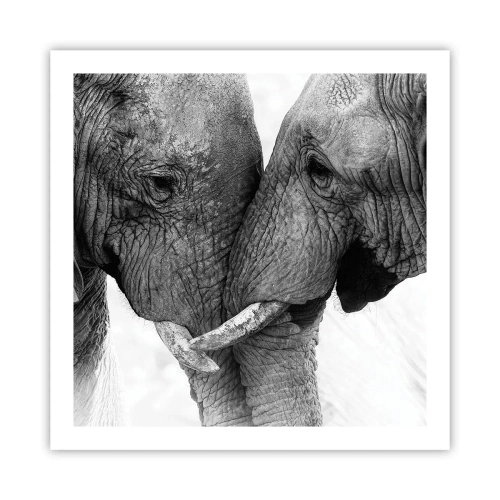 Affiche - Poster - Confession sincère - 60x60 cm