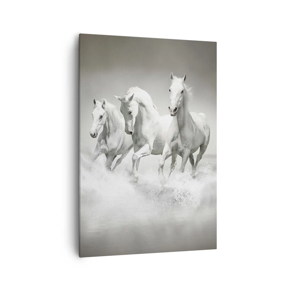 Impression sur toile - Image sur toile - Trois chevaux blancs galopant dans l'eau - 70x100cm - La folie blanche - Décoration murale moderne pour le salon et la chambre ARTTOR