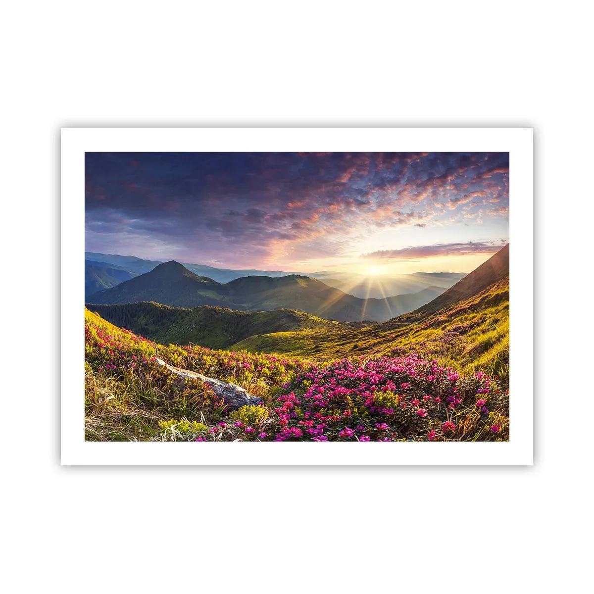 Affiche - Poster - Fraîcheur matinale en montagne - 70x50 cm