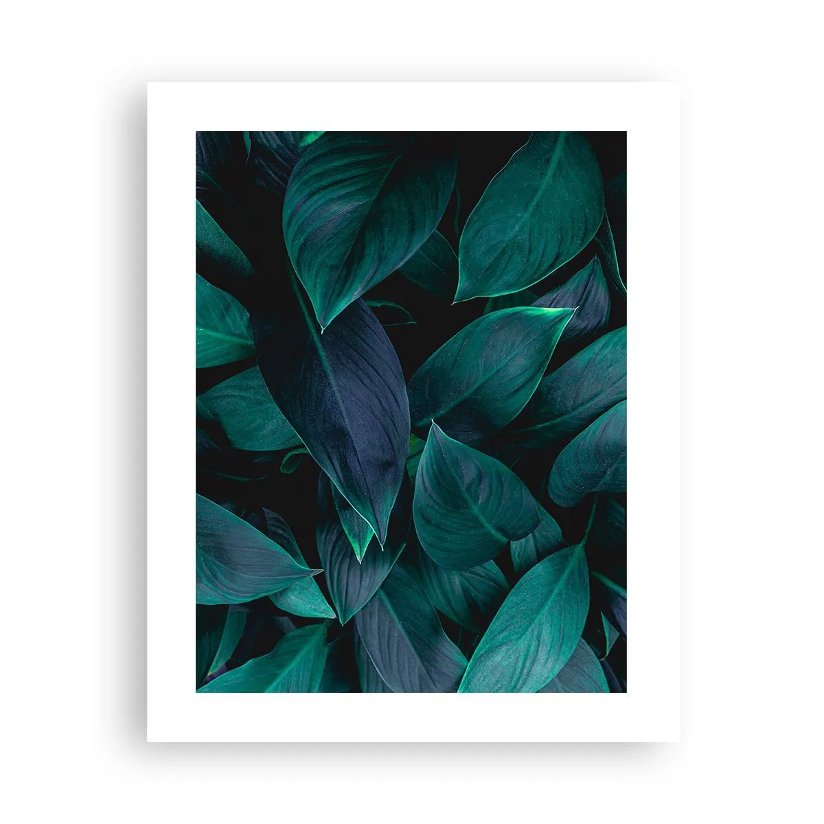 Affiche - Poster - le vert lui-même - 40x50 cm