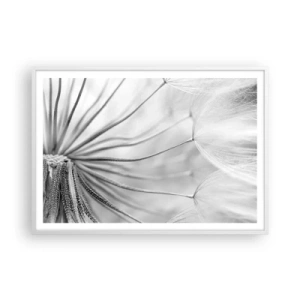 Affiche dans un cadre blanc - Poster - Aigrette avant son envol - 100x70 cm