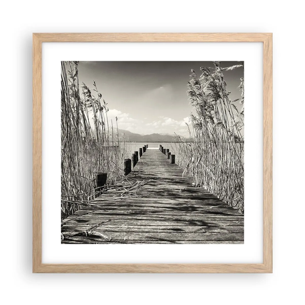 Affiche dans un chêne clair - Poster - Dans le calme de l'herbe - 40x40 cm