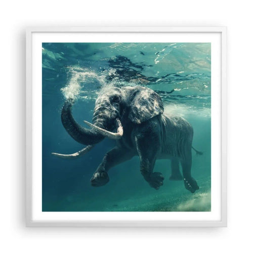 Affiche dans un cadre blanc - Poster - Tout le monde aime nager - 60x60 cm