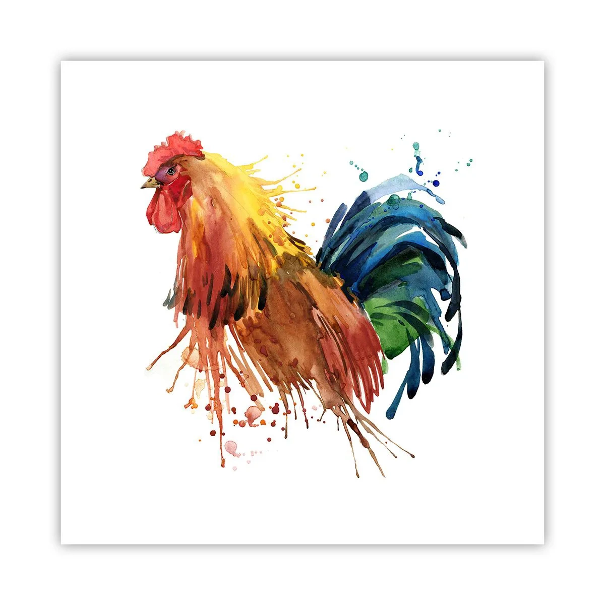 Affiche - Poster - Robe royale, fierté royale - 60x60 cm