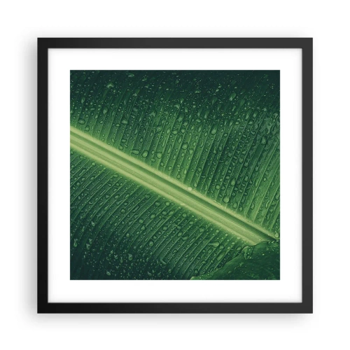 Affiche dans un cadre noir - Poster - Structure de vert - 40x40 cm